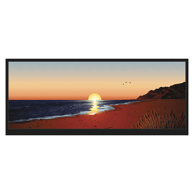 صفحه نمایش HDMI LCD قابل خواندن در نور خورشید 12.3 اینچ 1920x720 LCM-TFT123T61FHHDVNSDC